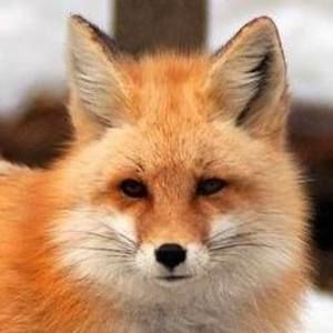 Meet your Posher, Stephen